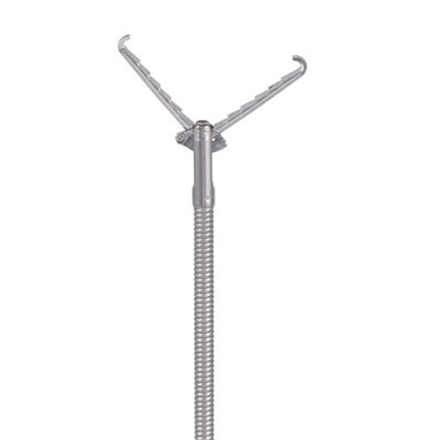 एंडोस्कोपिक परदेशी संस्था