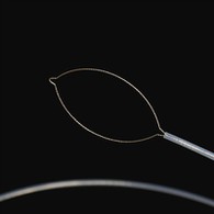 जबडा प्रकार परदेशी बॉडी फोर्प्स